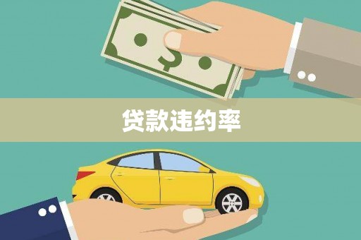 武山贷款违约率