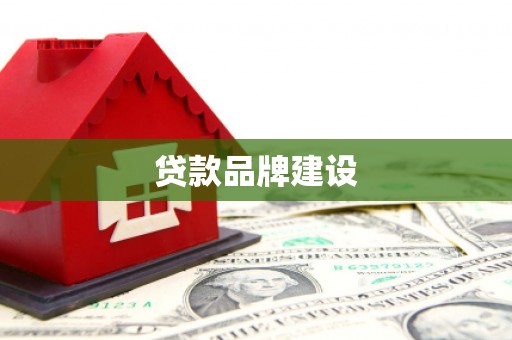 武山贷款品牌建设