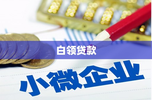 武山白领贷款