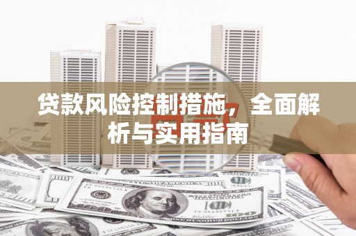 武山贷款风险控制措施，全面解析与实用指南