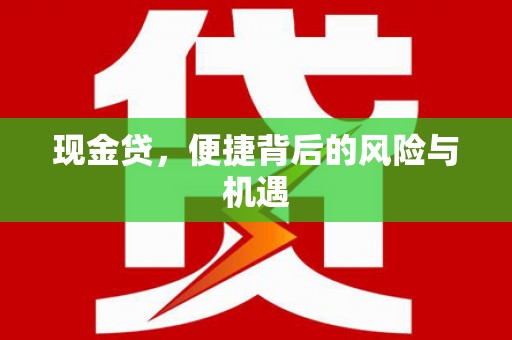 武山现金贷，便捷背后的风险与机遇