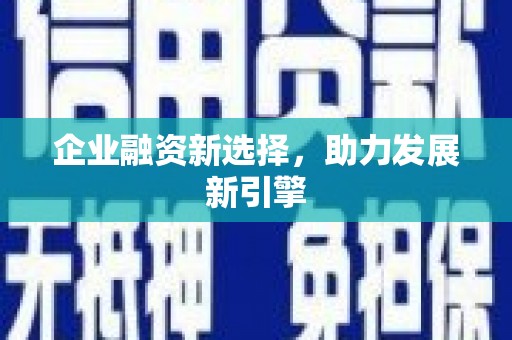 武山企业融资新选择，助力发展新引擎