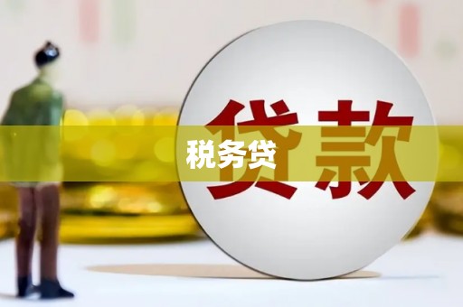 武山税务贷