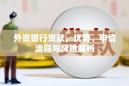 武山外资银行贷款，优势、申请流程与风险解析