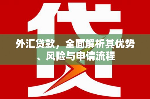 武山外汇贷款，全面解析其优势、风险与申请流程