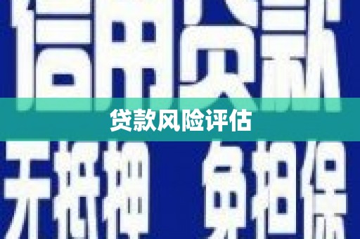 武山贷款风险评估
