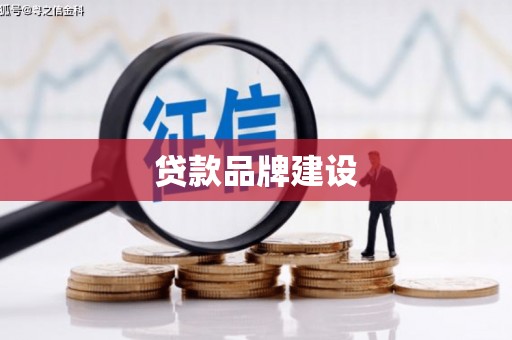 武山贷款品牌建设