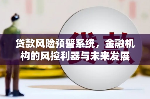 武山贷款风险预警系统，金融机构的风控利器与未来发展