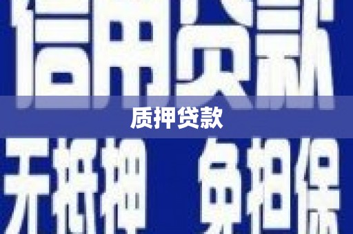 武山质押贷款