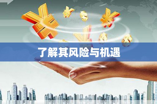 武山了解其风险与机遇