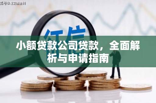 武山小额贷款公司贷款，全面解析与申请指南