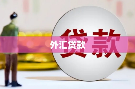 武山外汇贷款