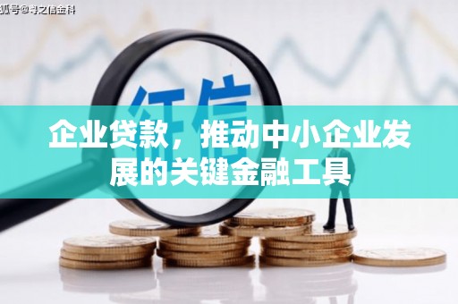 武山企业贷款，推动中小企业发展的关键金融工具