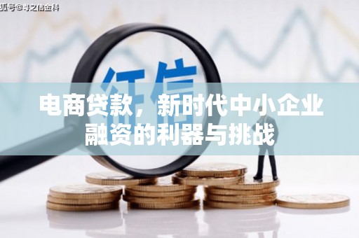 武山电商贷款，新时代中小企业融资的利器与挑战