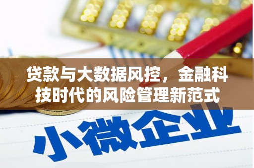 武山贷款与大数据风控，金融科技时代的风险管理新范式