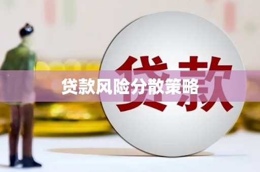 武山贷款风险分散策略