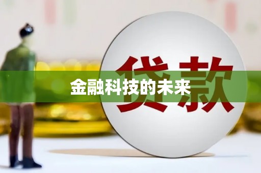 武山金融科技的未来