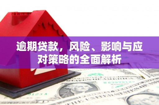武山逾期贷款，风险、影响与应对策略的全面解析