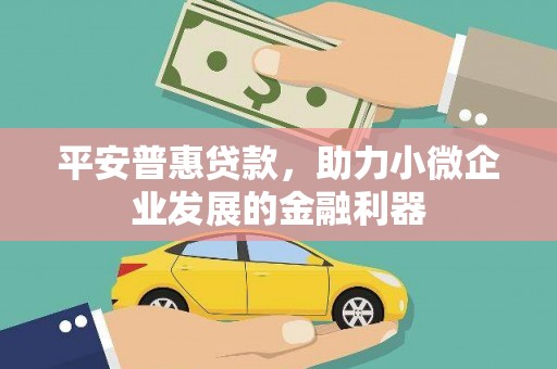 武山平安普惠贷款，助力小微企业发展的金融利器