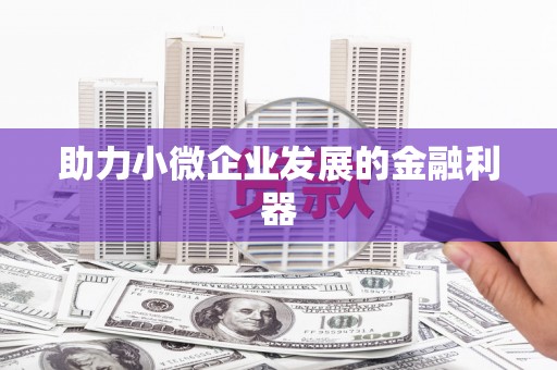 武山助力小微企业发展的金融利器