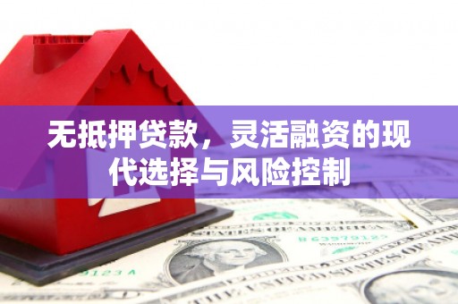 武山无抵押贷款，灵活融资的现代选择与风险控制