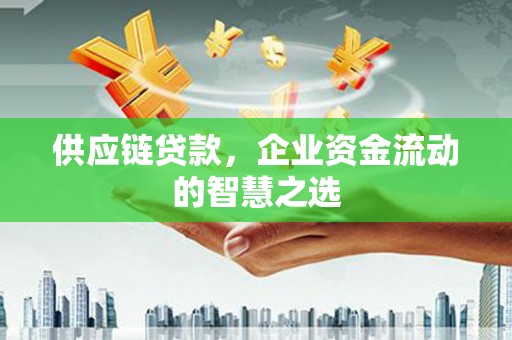 武山供应链贷款，企业资金流动的智慧之选