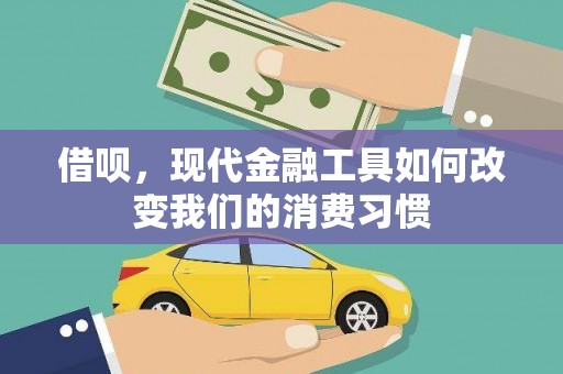 武山借呗，现代金融工具如何改变我们的消费习惯