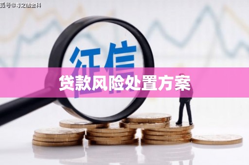 武山贷款风险处置方案