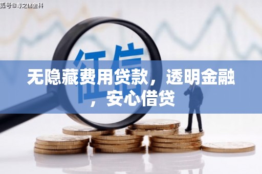 武山无隐藏费用贷款，透明金融，安心借贷