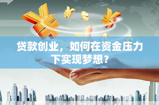 武山贷款创业，如何在资金压力下实现梦想？