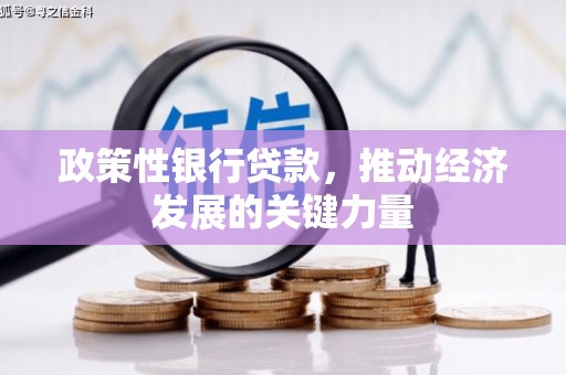 武山政策性银行贷款，推动经济发展的关键力量