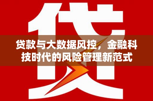 武山贷款与大数据风控，金融科技时代的风险管理新范式