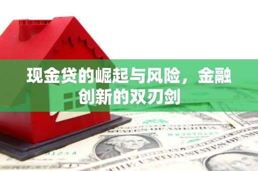 武山现金贷的崛起与风险，金融创新的双刃剑