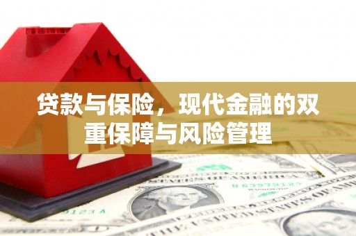 武山贷款与保险，现代金融的双重保障与风险管理