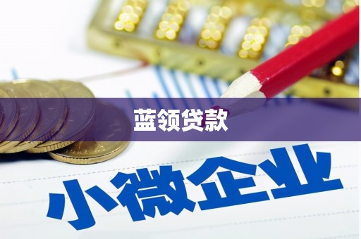 武山蓝领贷款
