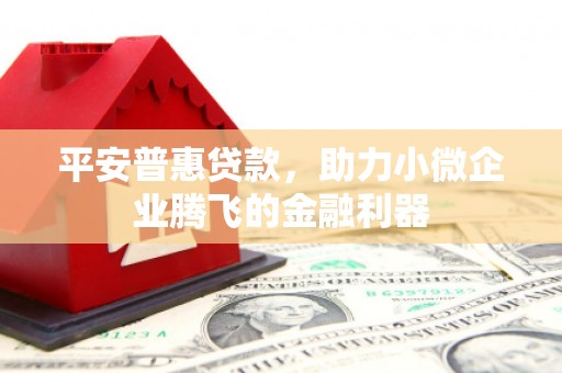 武山平安普惠贷款，助力小微企业腾飞的金融利器
