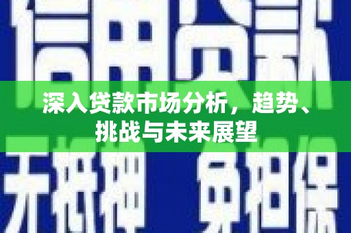 武山深入贷款市场分析，趋势、挑战与未来展望