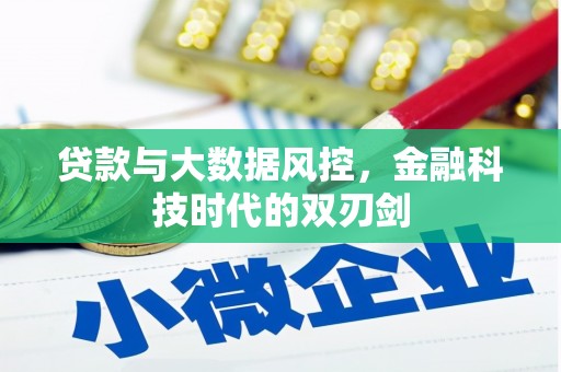 武山贷款与大数据风控，金融科技时代的双刃剑