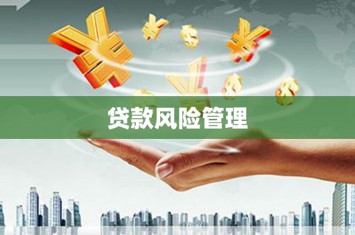 武山贷款风险管理