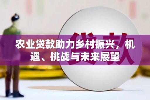 武山农业贷款助力乡村振兴，机遇、挑战与未来展望