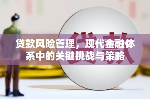 武山贷款风险管理，现代金融体系中的关键挑战与策略