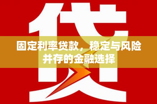 武山固定利率贷款，稳定与风险并存的金融选择