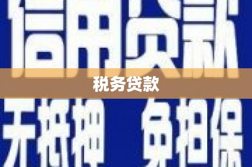 武山税务贷款