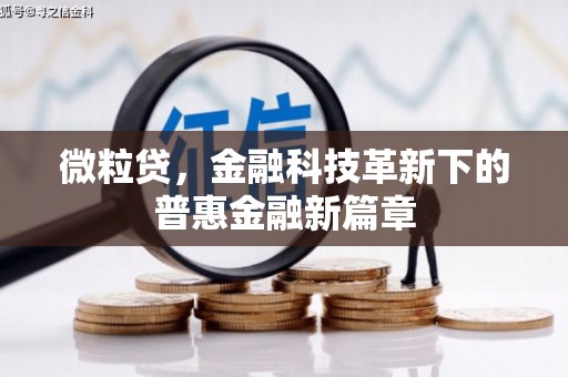 武山微粒贷，金融科技革新下的普惠金融新篇章