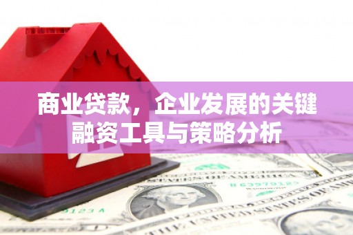 武山商业贷款，企业发展的关键融资工具与策略分析