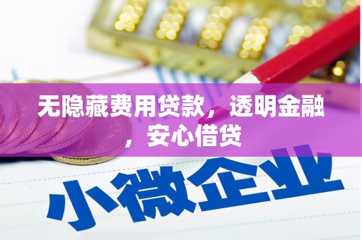 武山无隐藏费用贷款，透明金融，安心借贷