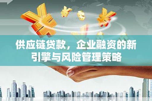 武山供应链贷款，企业融资的新引擎与风险管理策略