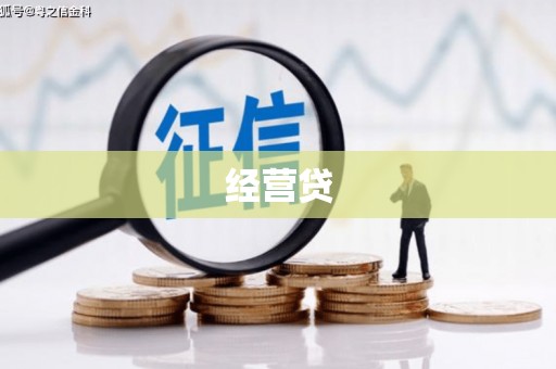 武山经营贷