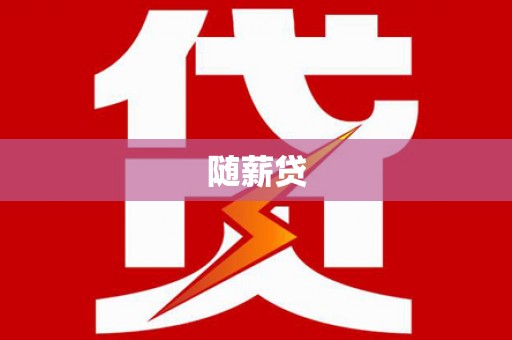 武山随薪贷