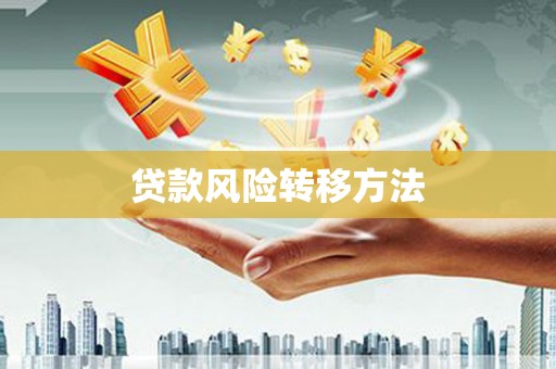 武山贷款风险转移方法